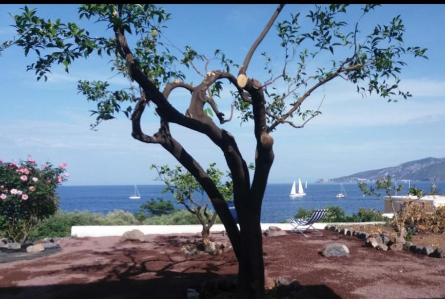 Villa Insolia Santa Marina Salina Bilik gambar